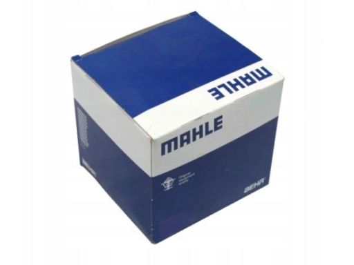 Zbiorniczek Wyrównawczy Płynu Chłodząceg Crt 203 000S