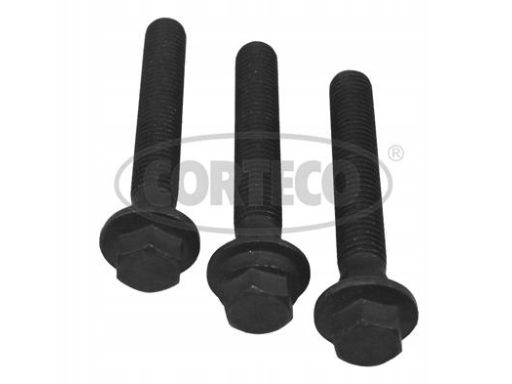 Zestaw Śrub Koła Pasowego Wału Korbowego 80004873