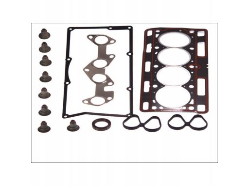 Zestaw Uszczelek Głowicy Cylindra 219.240