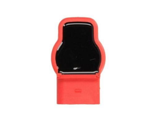 Cewka Zapłonowa Ent960034