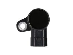 Cewka Zapłonowa Ent960059