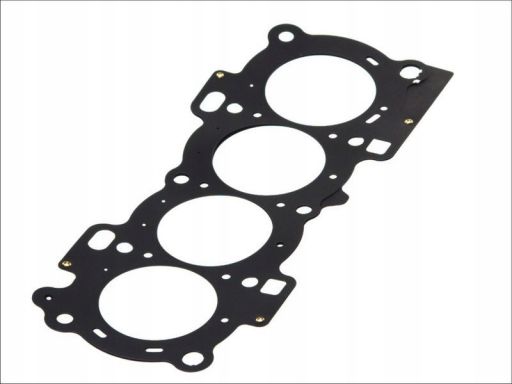 Uszczelka Głowicy Cylindrów 013.920