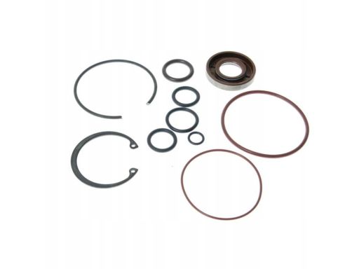 Zestaw Uszczelek Pompy Hydraulicznej 19025863