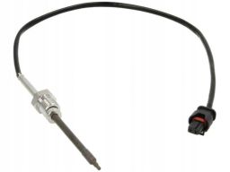 Czujnik Temperatury Spalin 172000185010