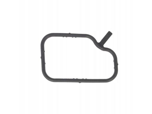 Uszczelka Króćca Układu Chłodzenia 249.690
