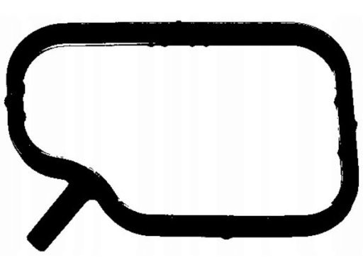 Uszczelka Króćca Układu Chłodzenia 249.690