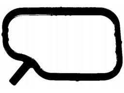 Uszczelka Króćca Układu Chłodzenia 249.690