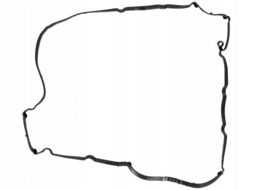 Uszczelka Pokrywy Zaworów 11131400