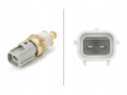 Czujnik Temperatury Oleju 6Pt 009 107-831