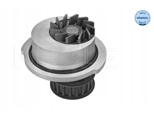 613 600 4098 Pompa Cieczy Chłodzącej Meyle