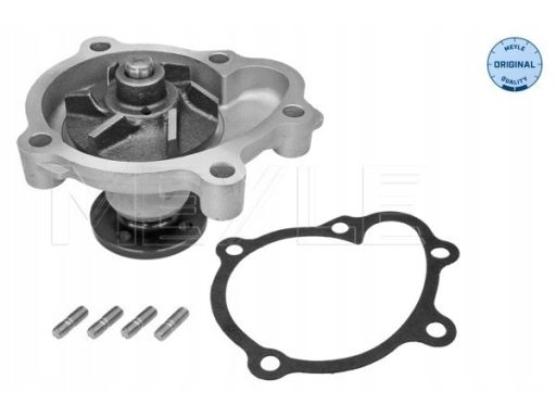613 600 4115 Pompa Cieczy Chłodzącej Meyle