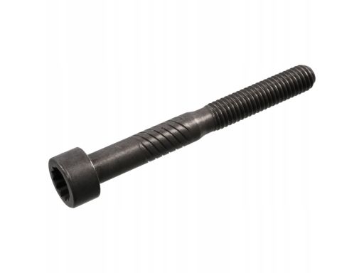 Śruba Regulacyjna Luzu Zaworowego 100729