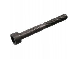 Śruba Regulacyjna Luzu Zaworowego 100729