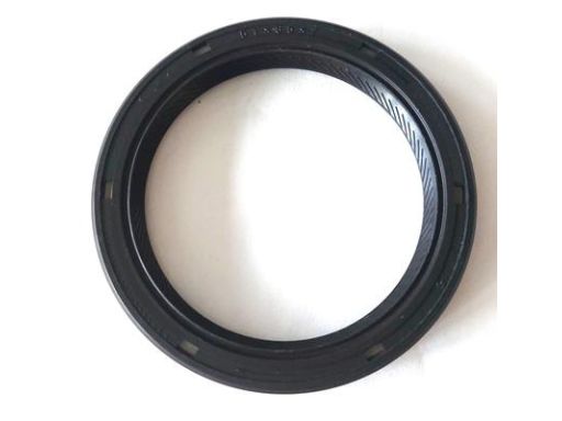 Uszczelniacz Wałka Rozrządu 20026695B