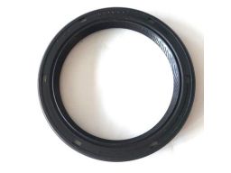 Uszczelniacz Wałka Rozrządu 20026695B