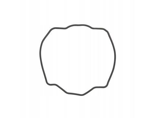 Uszczelka Pokrywy Zaworów S410480015004