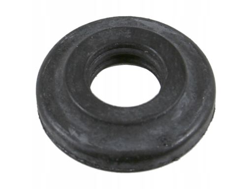 Uszczelka Śruby Pokrywy Zaworów 24321