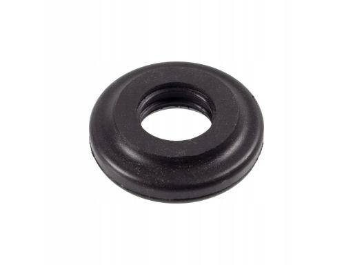 Uszczelka Śruby Pokrywy Zaworów 24321