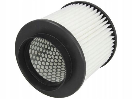 Filtr Powietrza 80004666