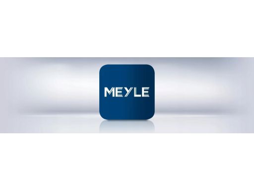 Łącznik/Wspornik Stabilizatora 316 060 0049/Hd