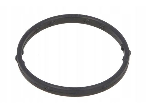 Oring Uszczelniający Przewodu Cieczy Chł 248.250