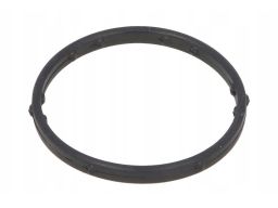 Oring Uszczelniający Przewodu Cieczy Chł 248.250