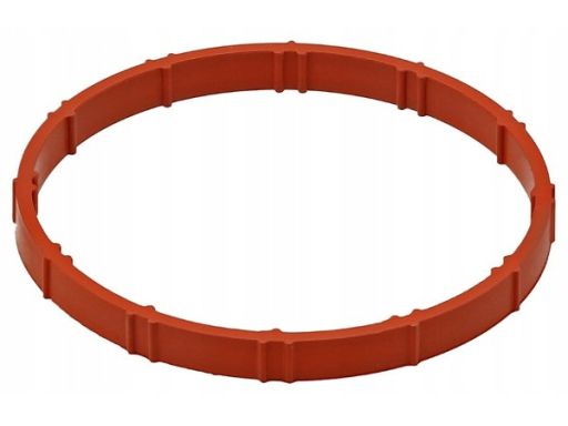 Uszczelka Rury Kolektora Dolotowego 797.660