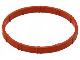 Uszczelka Rury Kolektora Dolotowego 797.660