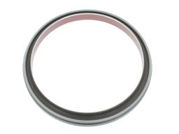 Uszczelniacz Wału Korbowego 49381098