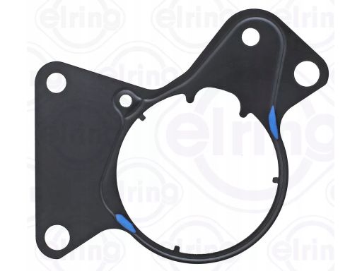 Uszczelka Pompy Paliwa 081.360