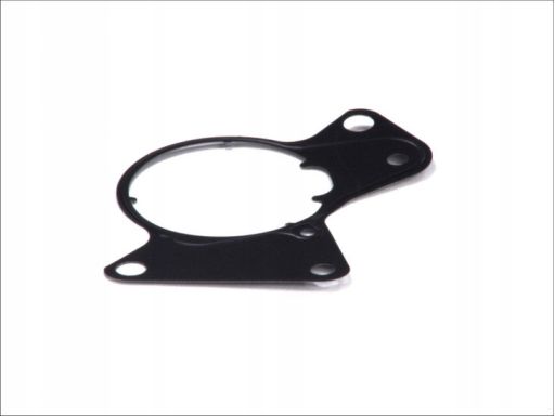 Uszczelka Pompy Paliwa 081.360