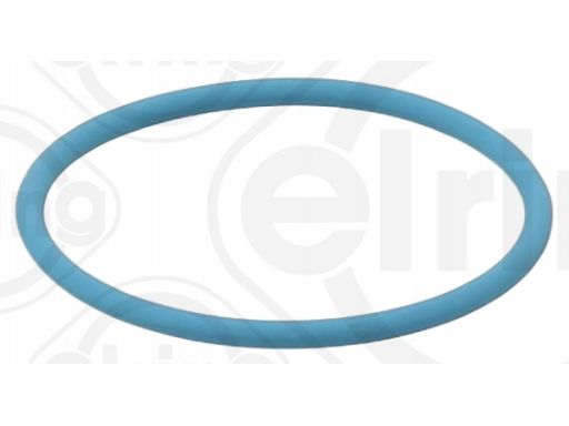 Uszczelka Pompy Paliwa 174.270