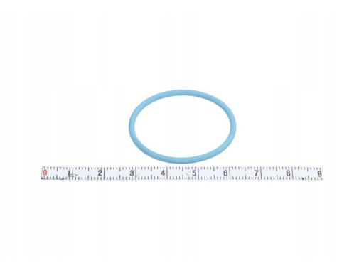 Uszczelka Pompy Paliwa 174.270