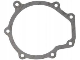 Uszczelka Pompy Cieczy Chłodzącej 201.091