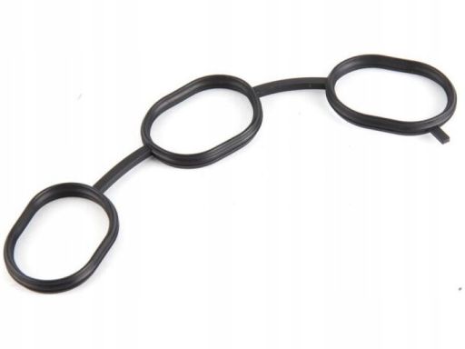 Uszczelka Kolektora Dolotowego 290.930