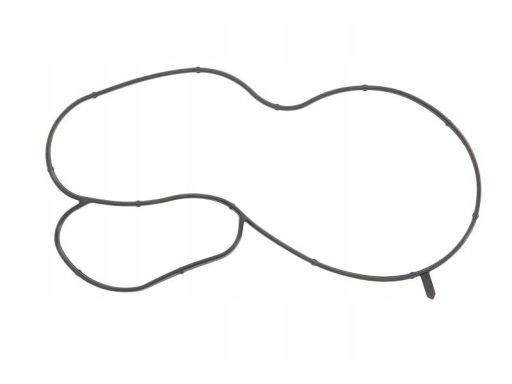 Uszczelka Pompy Cieczy Chłodzącej 323.380