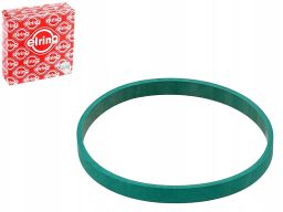 Uszczelka Korpusu Przepustnicy 485.490