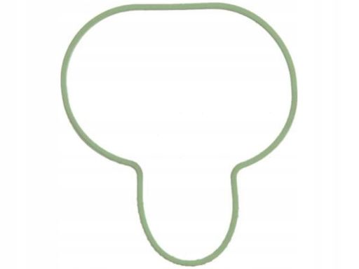 Uszczelka Kolektora Dolotowego 364.071