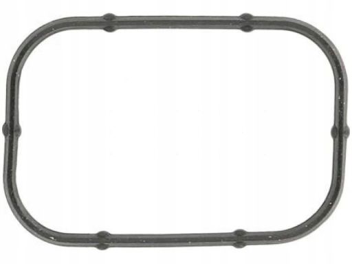 Uszczelka Rury Kolektora Dolotowego 524.020