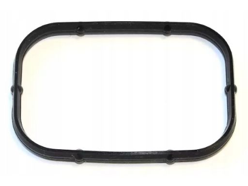 Uszczelka Rury Kolektora Dolotowego 524.020