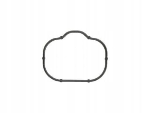 Uszczelka Kolektora Dolotowego 524.330