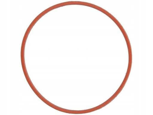 Uszczelka Rury Kolektora Dolotowego 532.630