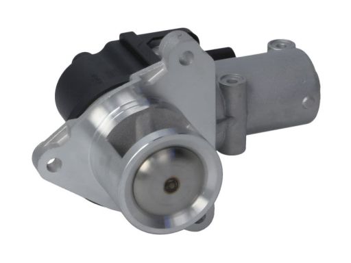 Zawór Egr 48639