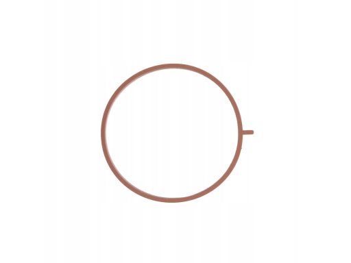 Uszczelka Kolektora Dolotowego 582.110