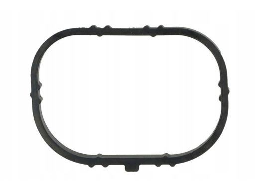 Uszczelka Kolektora Dolotowego/Wydechowe 654.460