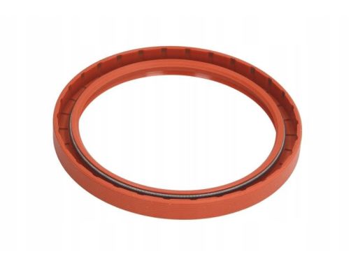 Uszczelniacz Wału Korbowego 09895