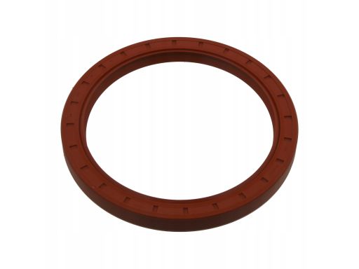 Uszczelniacz Wału Korbowego 09895