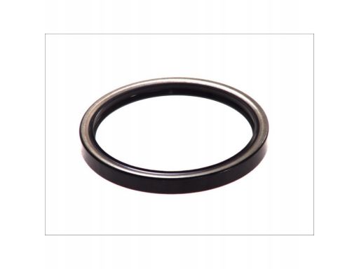 Uszczelniacz Wału Korbowego 323.772