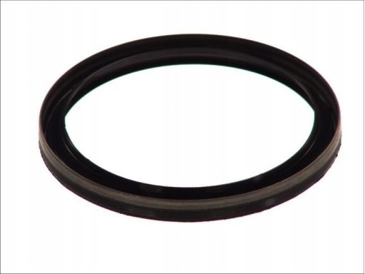 Uszczelniacz Wału Korbowego 492.060