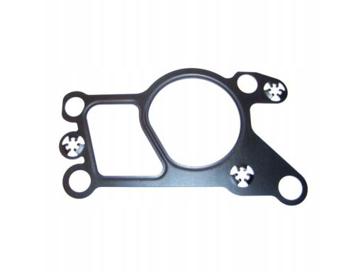 Uszczelnienie Zaworu Egr 752.070